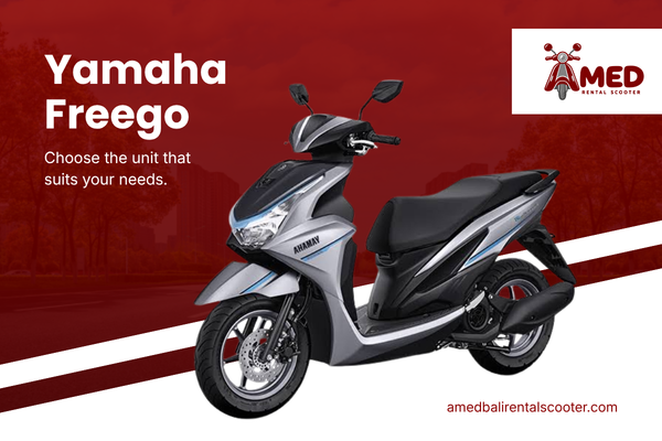 unit amed rental scooter (3)