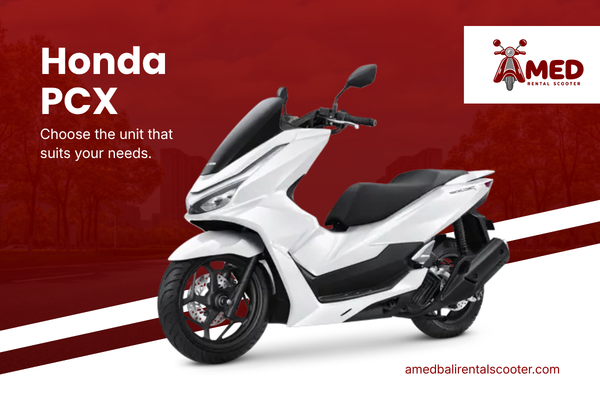 unit amed rental scooter (6)